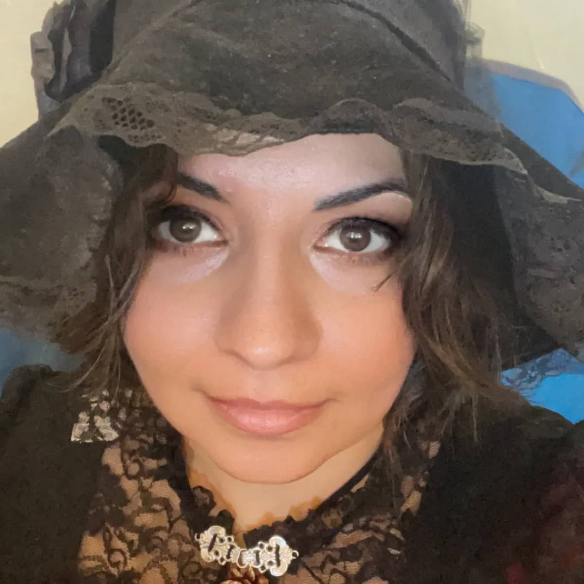 The Velvet Veil