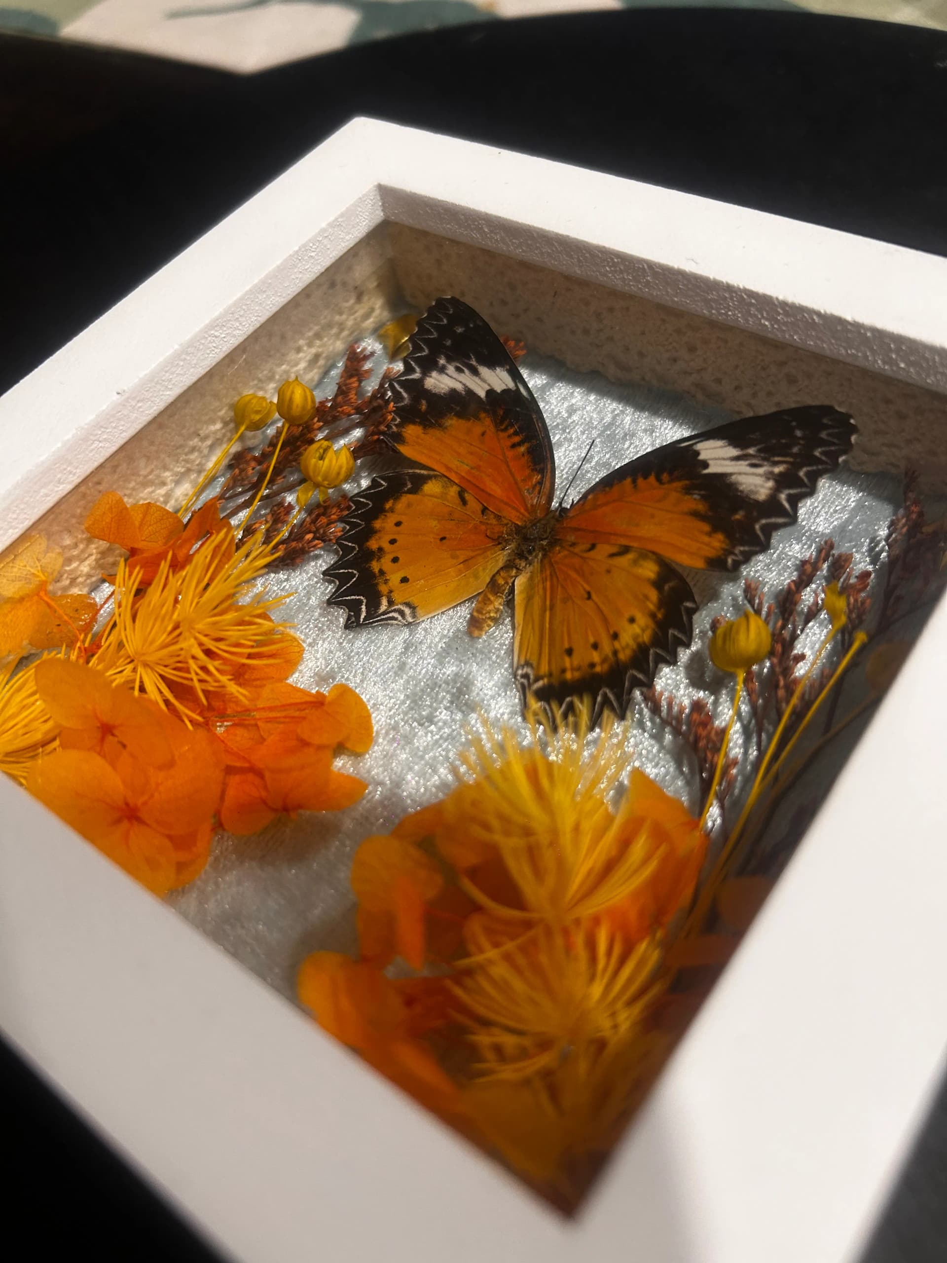 Small Butterfly Shadow Box thumbnail 2