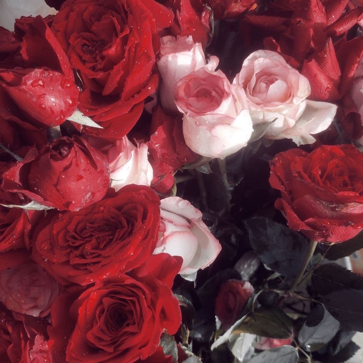 Attraction/Love spell - Image 1