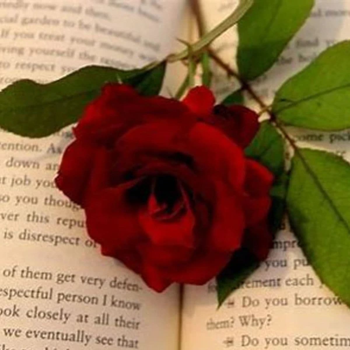 Psychic Reading-Love--Generous & Detailed - Image 1