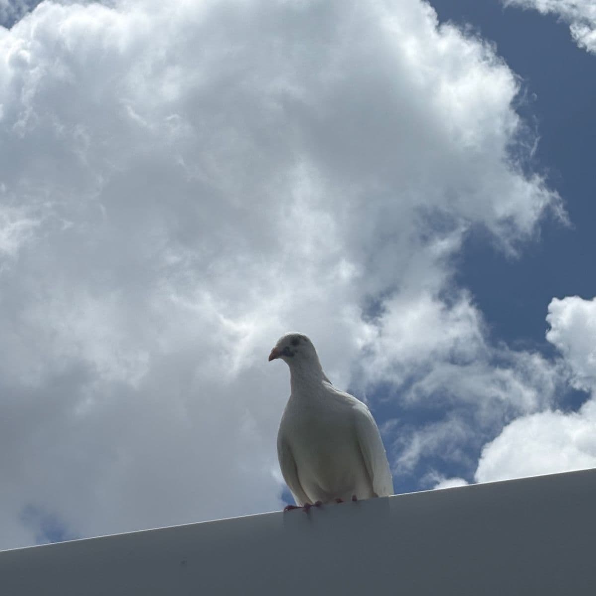 Custom Guided Mediation and Energy Work - Image 1